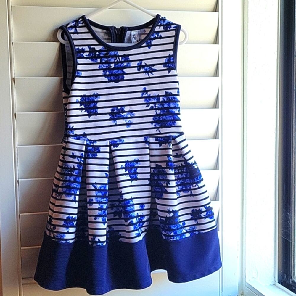 Beautiful Blue and While Flower & Striped Dress